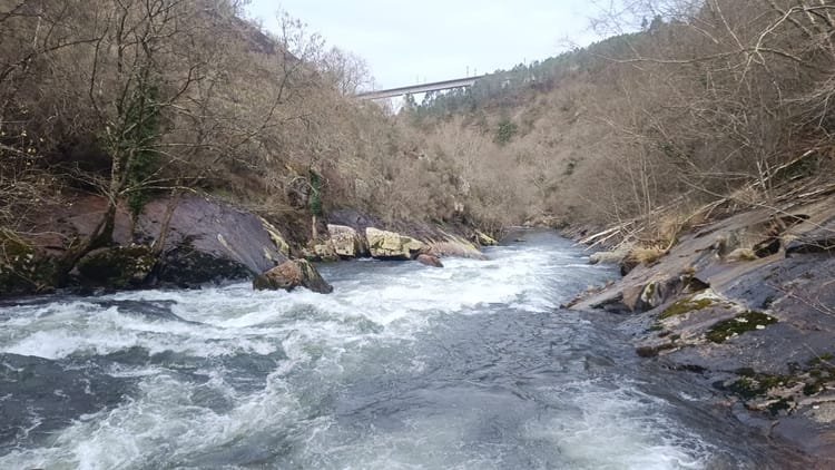 Packrafting río Deza tramo T1 Train section